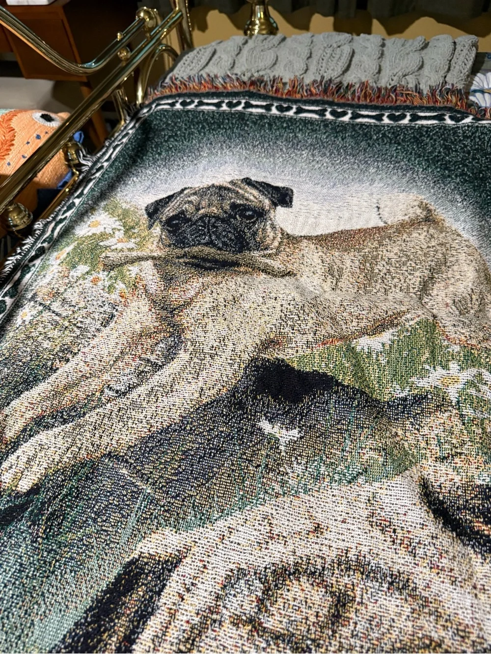 I Love Pugs Green Decorative Dog Blanket by